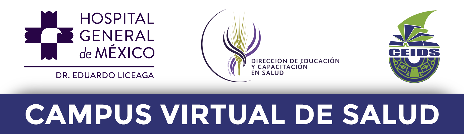 Campus Virtual en Salud